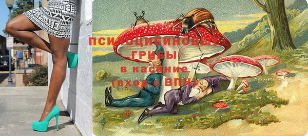 индика Абинск