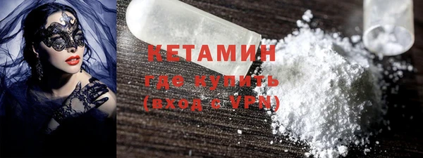 прущие грибы Гусиноозёрск